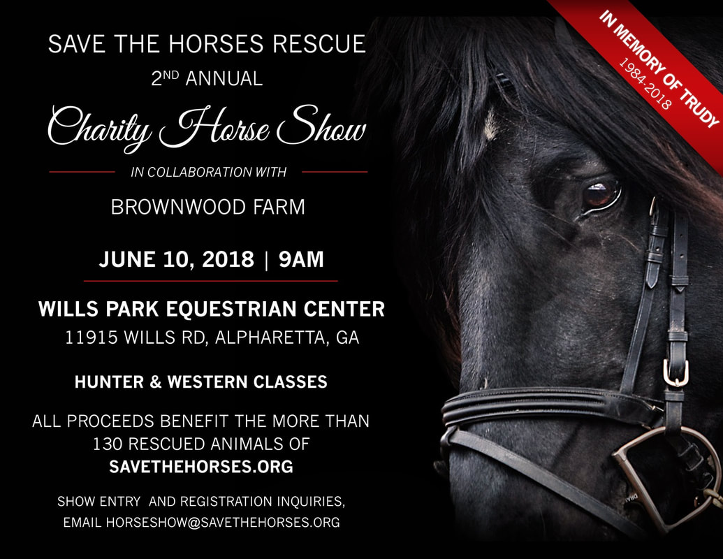 Save the Horses Charity Horse Show Save the Horses Rescue